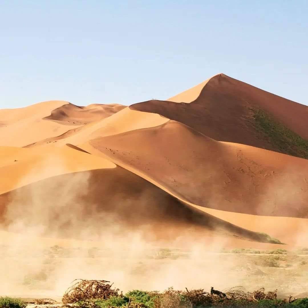 Namibia Budget Safari 2026, 7 Days