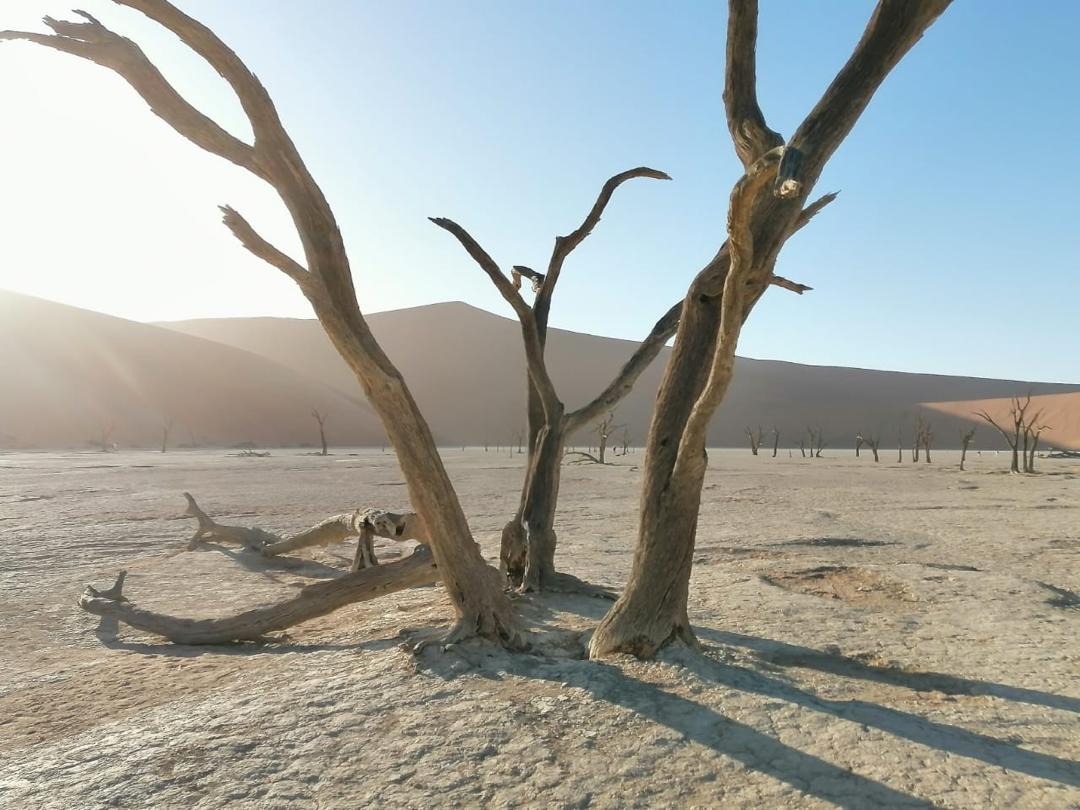 Sossusvlei and Namib Naukluft